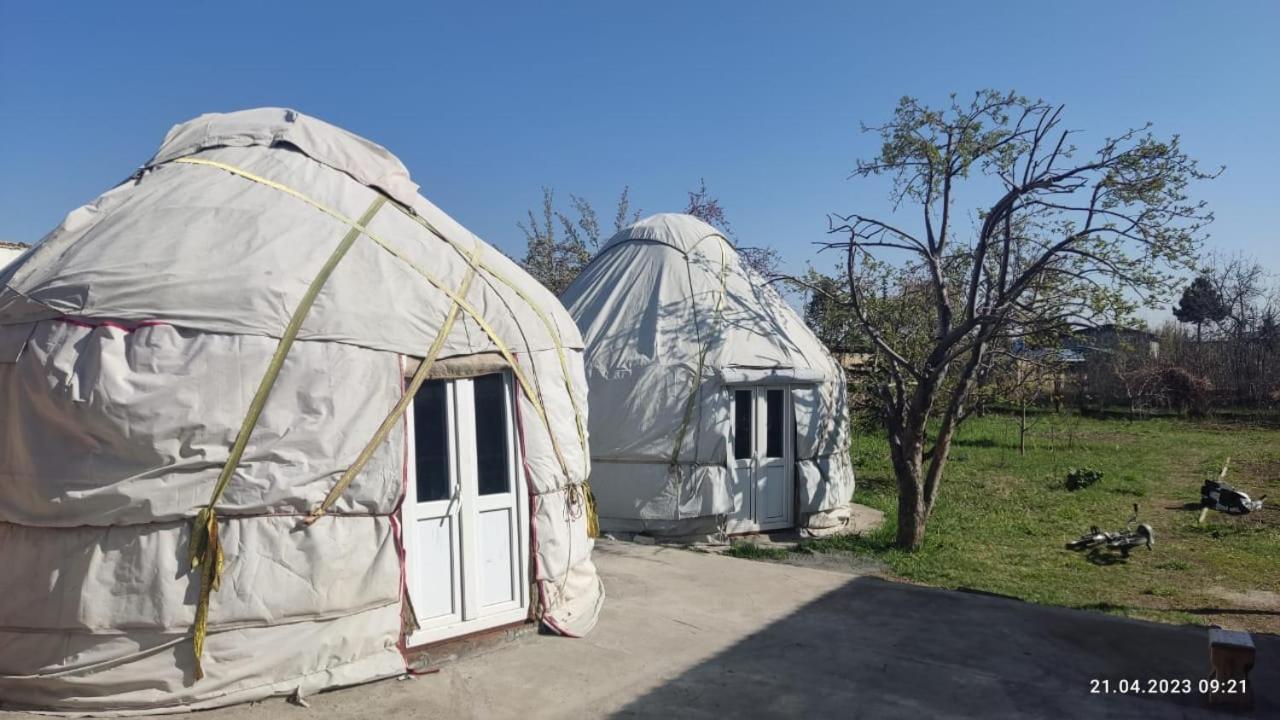 Yurt Stay In Downtown Karakol Buitenkant foto