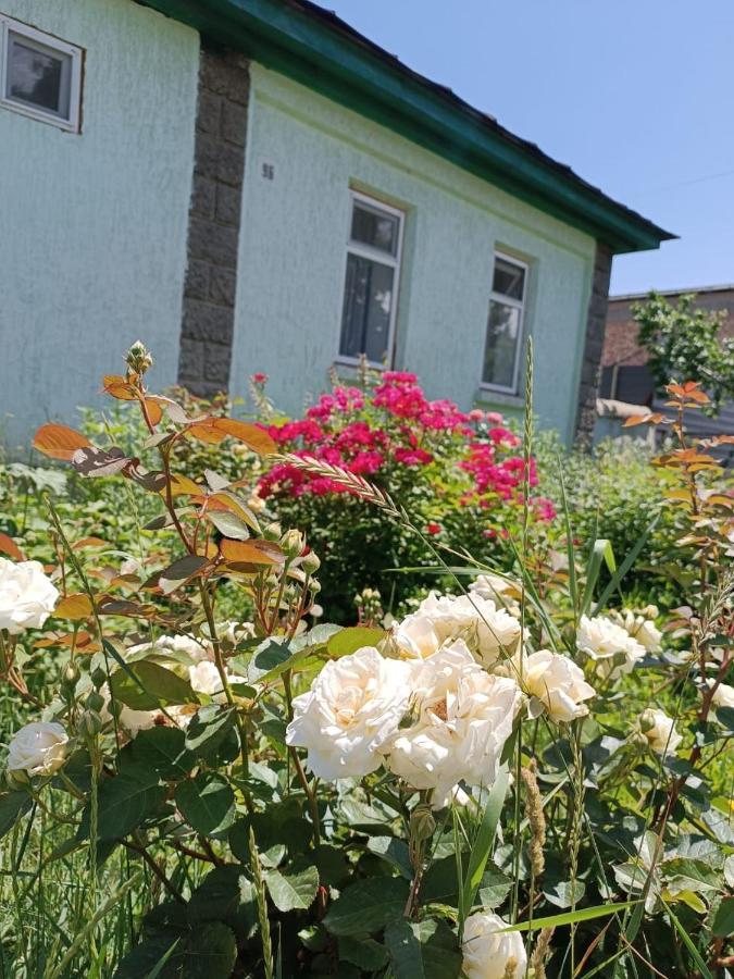 Yurt Stay In Downtown Karakol Buitenkant foto